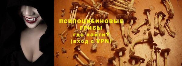 MDMA Premium VHQ Беломорск