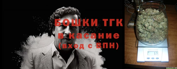 дживик Белокуриха