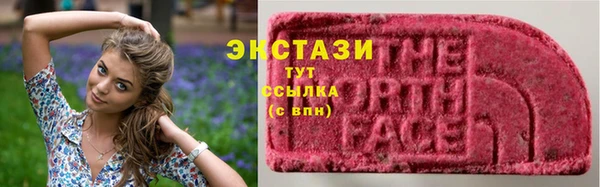 дживик Белокуриха
