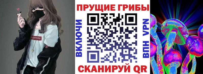 Галлюциногенные грибы ЛСД  Высоцк 